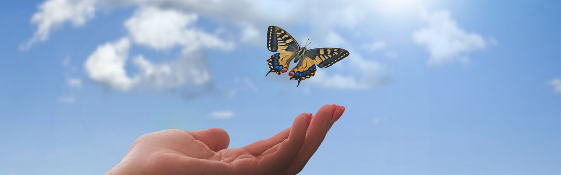 Por que liberdade é a palavra-chave para um relacionamento de sucesso?